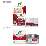 Dr Organic Moroccan Argan Oil Day Cream 50ml - McGrocer