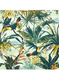 Clarke & Clarke Toucan Wallpaper, W0146/01 - McGrocer