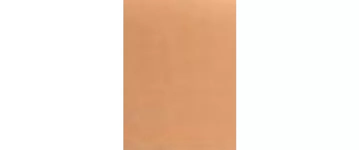 DIOR Forever Skin Perfect Foundation Stick - McGrocer