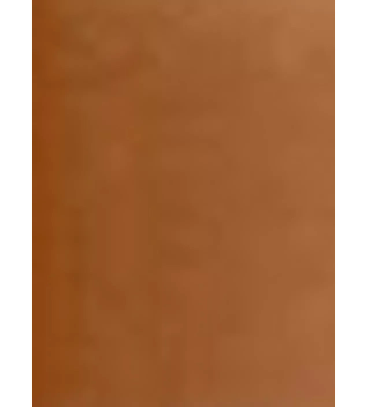 DIOR Forever Skin Perfect Foundation Stick - McGrocer