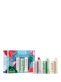 Fresh Tint Mint Treat Lip Kit