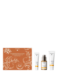 Dr Hausckha The Brightening Skincare Concept Skincare Gift Set