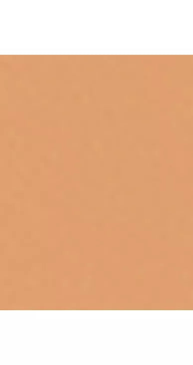 Trinny London BFF All Day Foundation - McGrocer