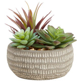 M&S Moss & Sweetpea Artificial Succulents in Concrete Pot