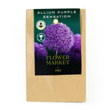 M&S 9 Allium Purple Sensation