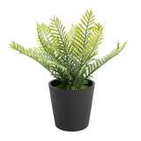 Habitat Artificial Green Small Fern Plant - 18cm