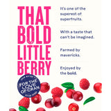 Ocean Spray Cranberry & Raspberry 1L