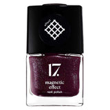 17 Magnetic Effect Nail Polish 060 8ml - McGrocer