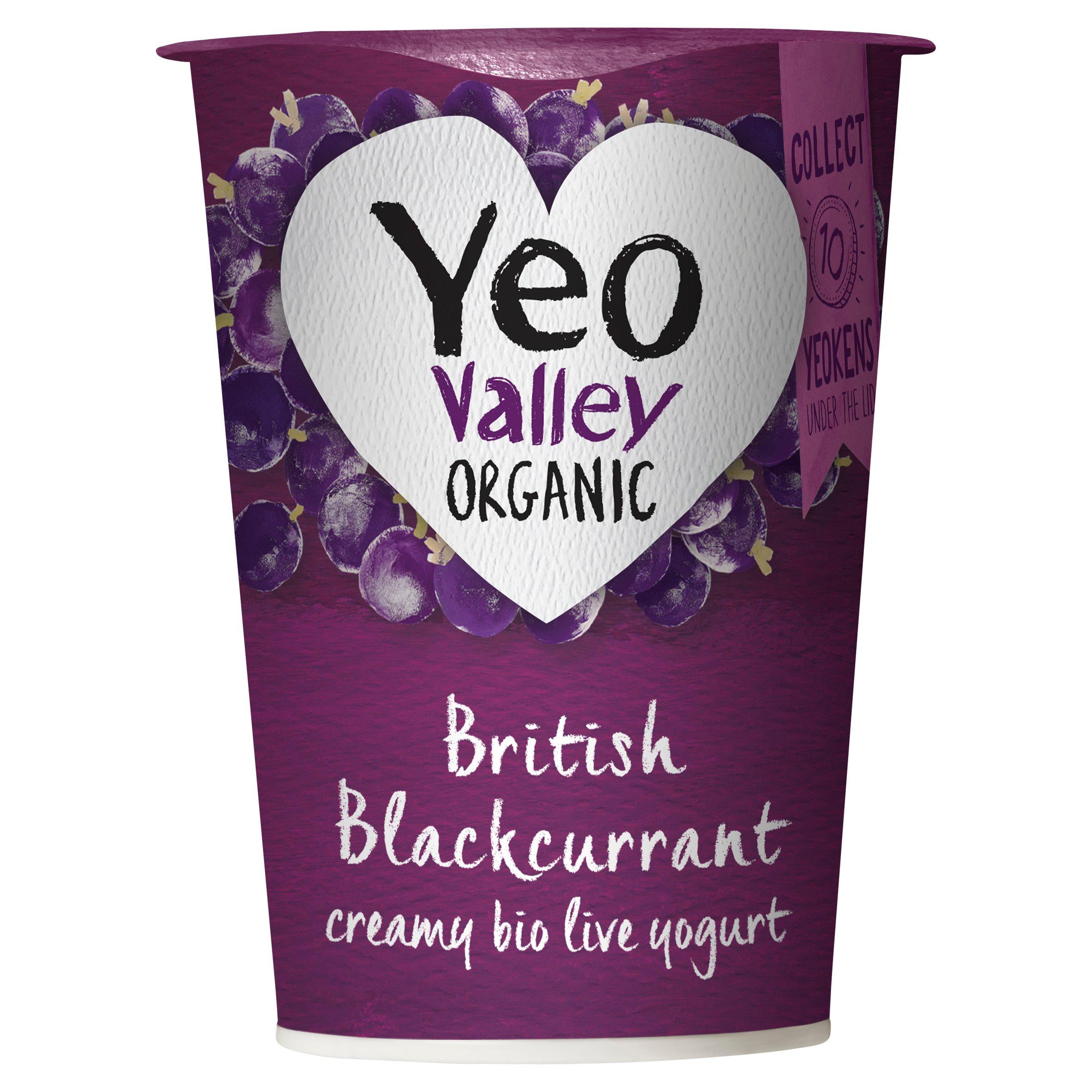 Yeo Valley Organic British Blackcurrant Creamy Bio Live Yogurt 450g GOODS Sainsburys