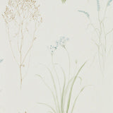 Sanderson Farne Grasses Wallpaper