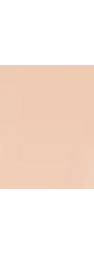 BY TERRY Light-Expert Click Brush Foundation - McGrocer