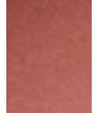 Lancôme L'Absolu Rouge Cream Lipstick