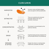 Together WholeHerb Curcumin & Turmeric Root Capsules 30 per pack GOODS M&S