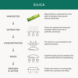 Together Beautiful Hair Skin & Nail Daily Capsules 60 per pack GOODS M&S