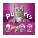 Whiskas Temptations Adult Cat Treat Biscuits with Salmon 60g GOODS M&S