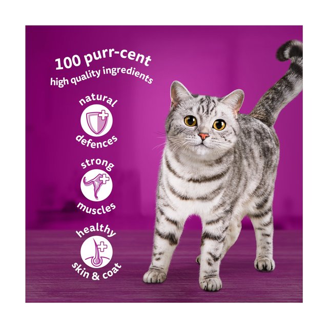 Whiskas 1+ Adult Wet Cat Food Pouches Meaty Meals in Gravy 12 x 85g GOODS M&S