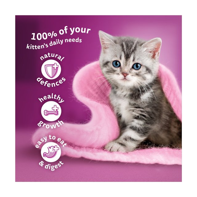 Whiskas 2-12mnths Kitten Wet Cat Pouches Fish Favourites in Jelly 12 x 85g GOODS M&S