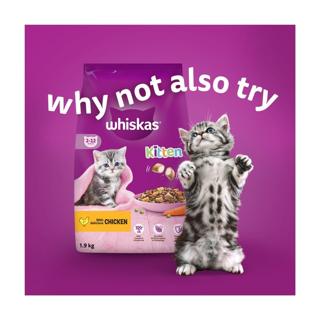 Whiskas 2-12mnths Kitten Wet Cat Pouches Fish Favourites in Jelly 12 x 85g GOODS M&S