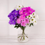 Fun Flowers Dyed Chrysanthemums - McGrocer