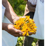 Weleda Arnica Sport Energising Vegan Shower Gel 200ml GOODS M&S