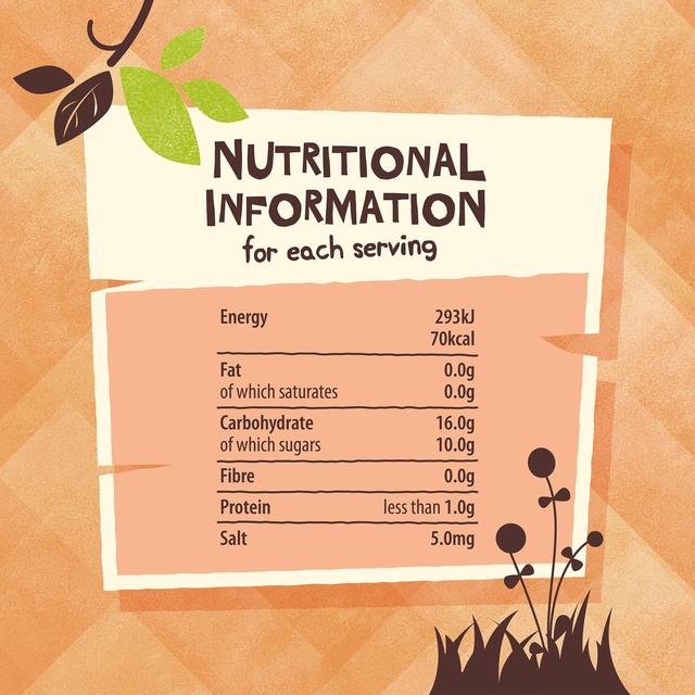 The Giving Tree Freeze Dried Peach Crisps 18g GOODS M&S