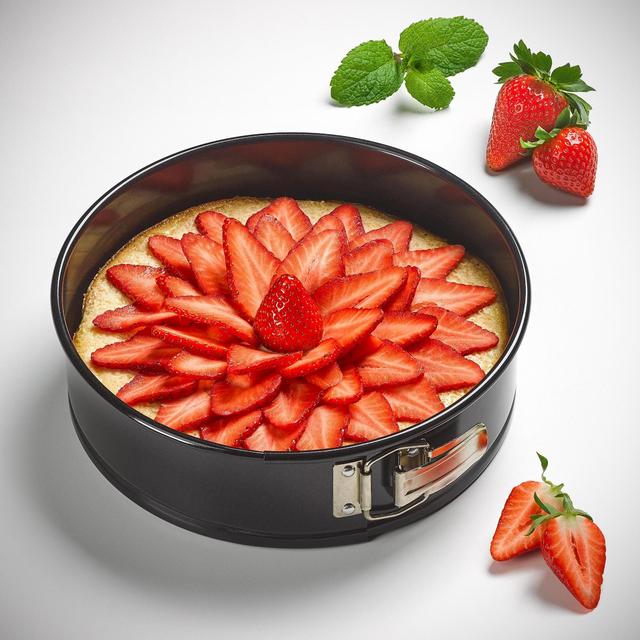 Tala Non-stick Springform Cake Tin 20cm GOODS M&S