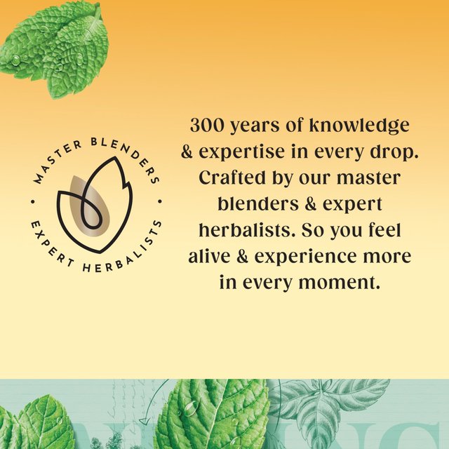 Twinings Peppermint Tea 80 per pack GOODS M&S