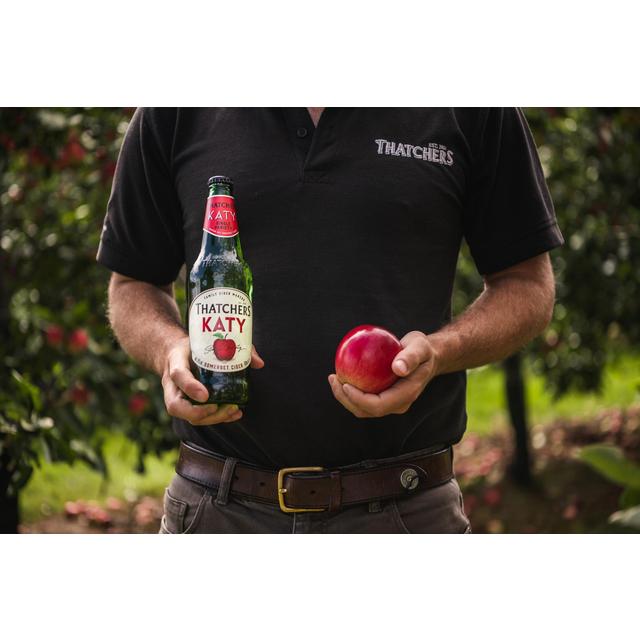 Thatchers Cider Katy 500ml GOODS M&S