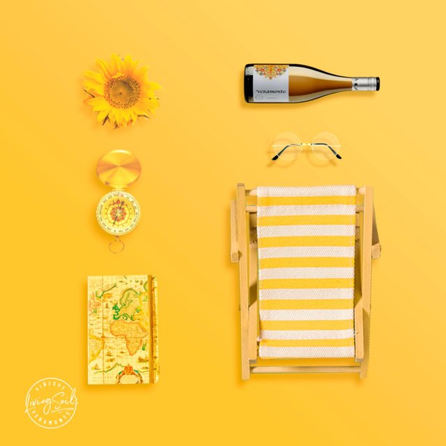 Veramonte Organic Chardonnay Casablanca 75cl GOODS M&S