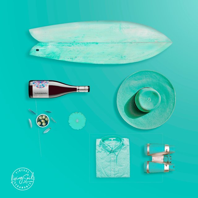 Veramonte Organic Pinot Noir   75cl GOODS M&S