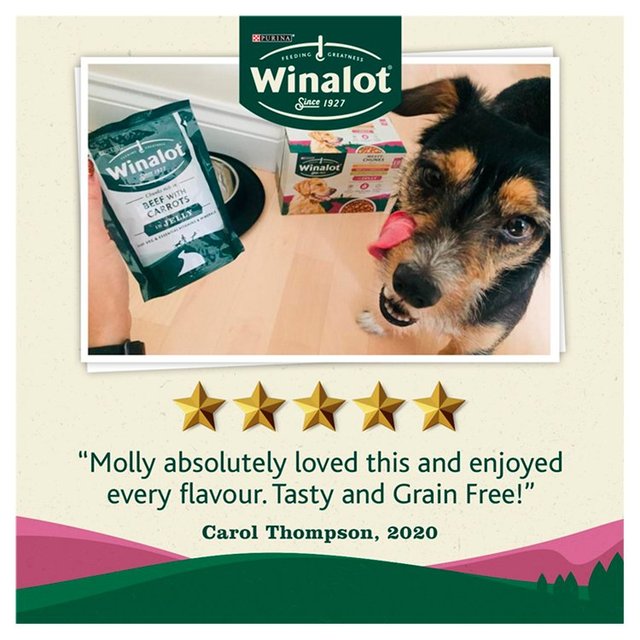 Winalot Meaty Chunks Mixed in Jelly Wet Dog Food    24 x 100g GOODS M&S