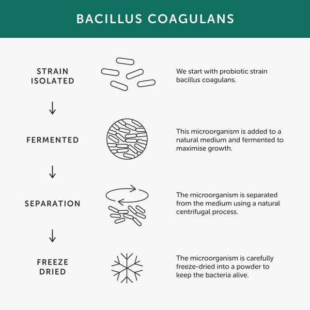 Together Multibiotic Microbiome Support Capsules 30 per pack GOODS M&S