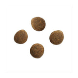 Crave Natural Grain Free Adult Dry Cat Food Salmon & Whitefish 750g