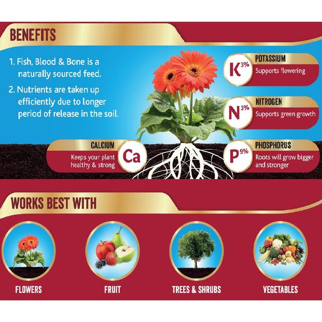 Westland Fish Blood and Bone All Purpose Plant Food 1.5 kg GOODS M&S
