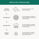 Together Immune Vitamin C Zinc & Selenium Vegetable Capsules 30 per pack GOODS M&S