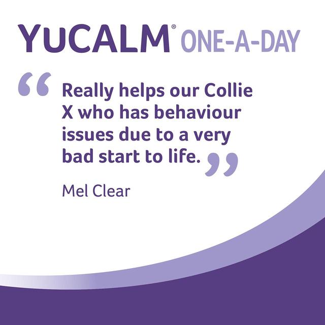 YuMOVE Chewies One a Day Dog Calming Supplement Large Dog 30 per pack GOODS M&S