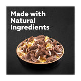 Cesar Senior Wet Dog Food Pouches Mixed Selection in Jelly