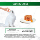 Gourmet Nature's Creations Gravy Heart Chicken Wet Cat Food