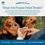 James Ella Freeze-Dried Raw Chicken Dog Treats