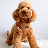 Cocopup London Paddington Teddy Dog Harness Large