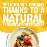 Alpro Greek Style Mango Dairy Free Yoghurt Alternative