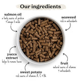 Forthglade Cold Pressed Small Dog Grain Free Turkey