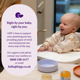 HiPP Organic Tasty Vegetable Risotto Baby Food Jar 6months