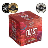 Toast Brewing New Dawn SIPA