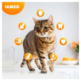 IAMS for Vitality Senior Cat Food With Ocean Fish