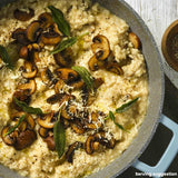 2pk Pure Cotton Bunny Cot Bed Fitted Sheets