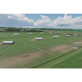 Packington Free Range Pork Belly Slices