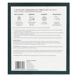 M&S Red Lion Single Petal Amaryllis Indoor Plant