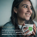 PUKKA Organic Three Mint Tea with Peppermint 40 Herbal Tea Bags