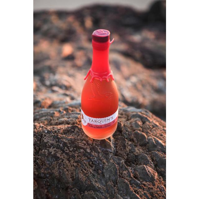 Tarquin's Strawberry & Lime Gin 70cl GOODS M&S